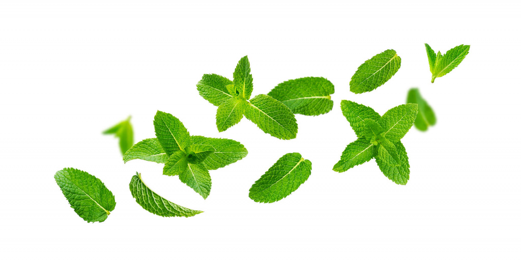shutterstock_1483521026.jpg