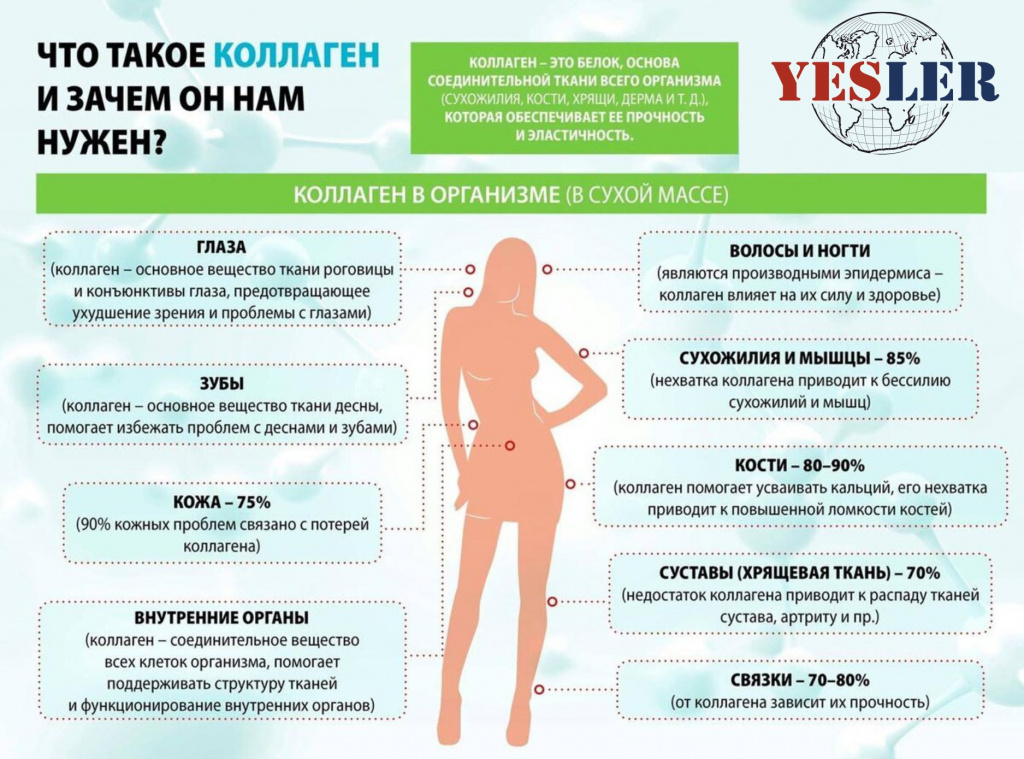 баннер колаген.jpg баннер колаген.jpg